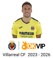 Biểu tượng đội ngũ chuyên nghiệp