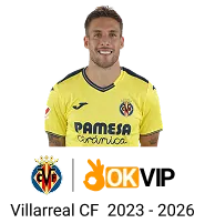 Biểu tượng đội ngũ chuyên nghiệp