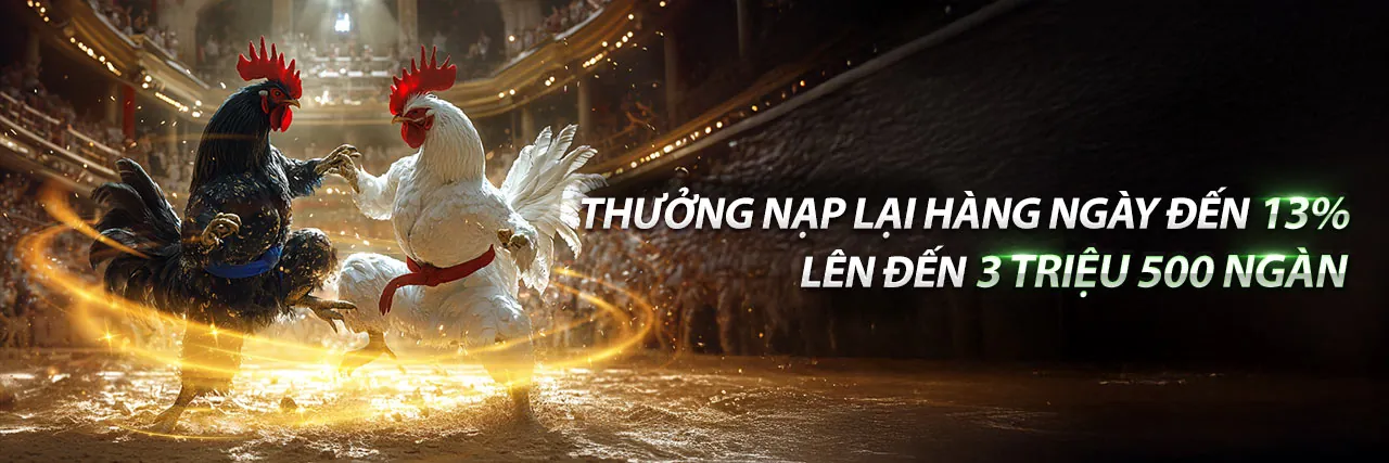 Trận đá gà kịch tính tại 789 live