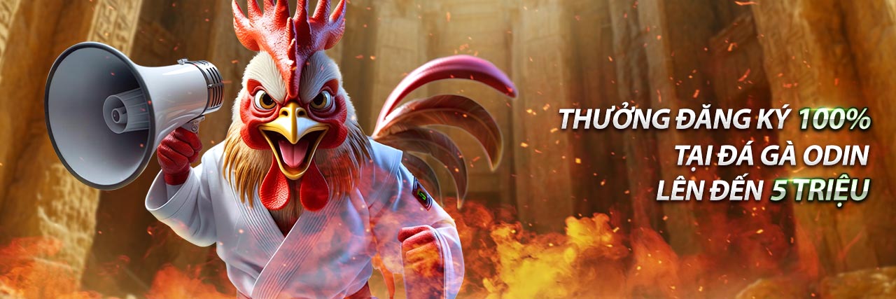 Các biện pháp bảo mật dữ liệu của 789 Live